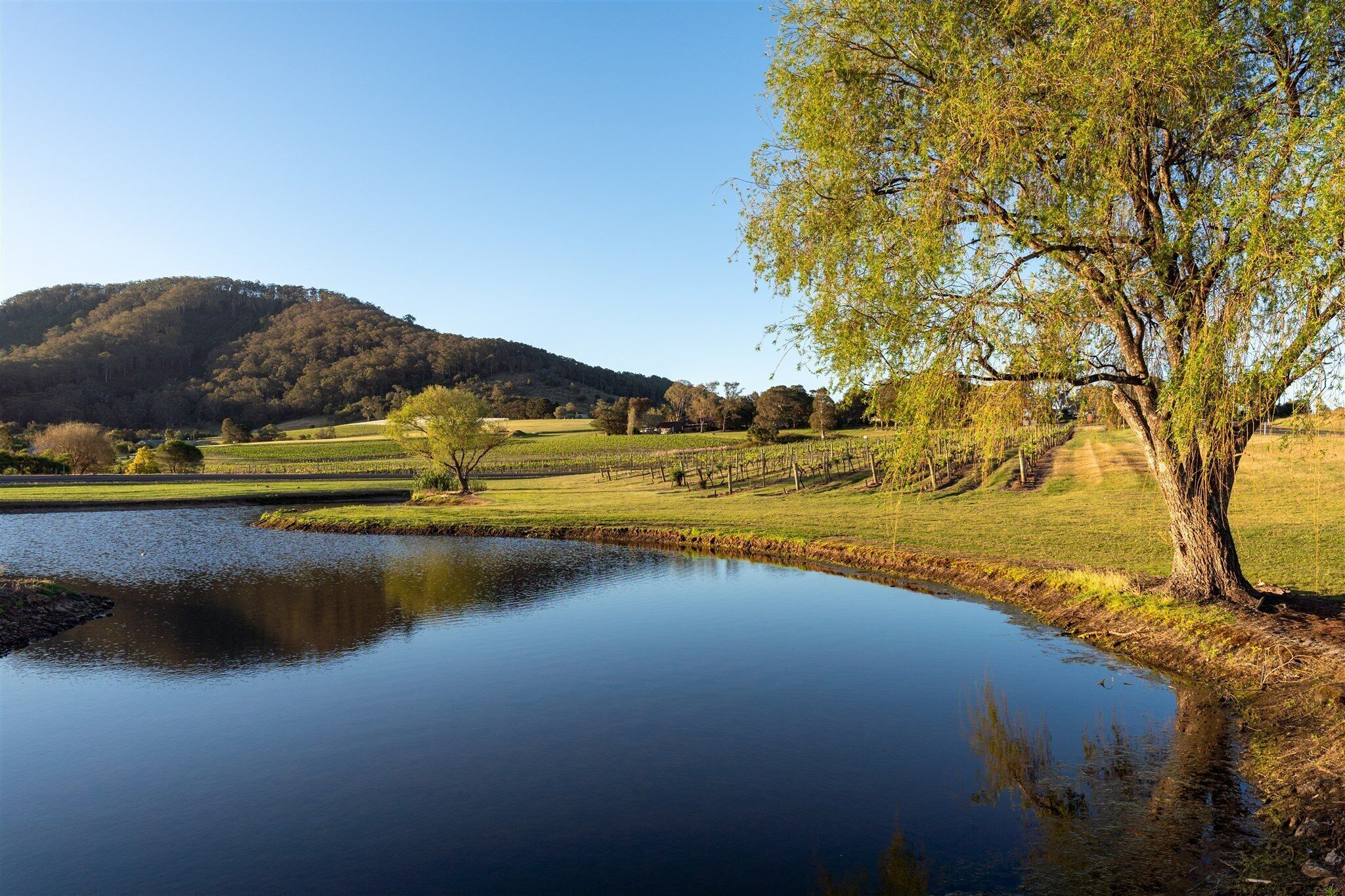 A serene landscape with a pond, grassy fields, and a hill in the background.