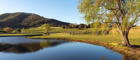 A serene landscape with a pond, grassy fields, and a hill in the background.
