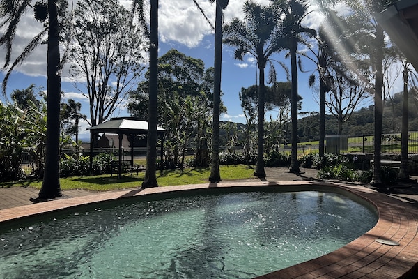 Outdoor pool, pool loungers
