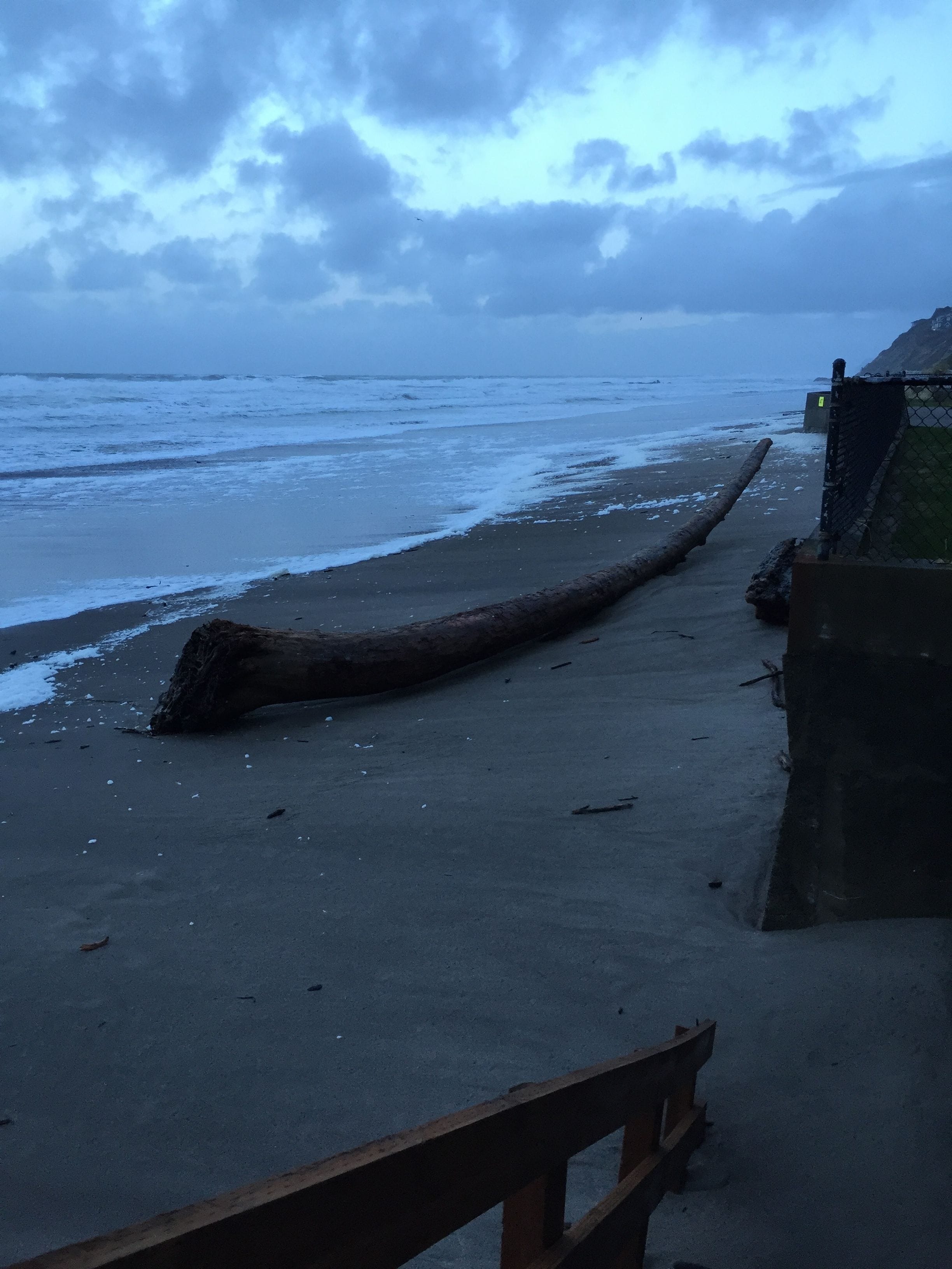 Ein Strand mit einer Holzbank und einem großen Baumstamm im Sand.