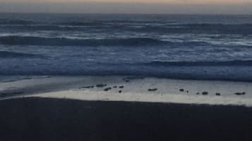 A beach with waves approaching the shore.