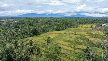 A rural landscape with terraced fields, scattered houses, and a mountain range in the background.