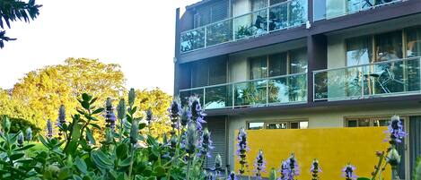 A modern building with multiple balconies and large windows.