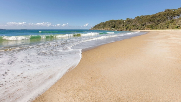 A beach with clear blue water, a sandy shore, and a forested hill in the background.