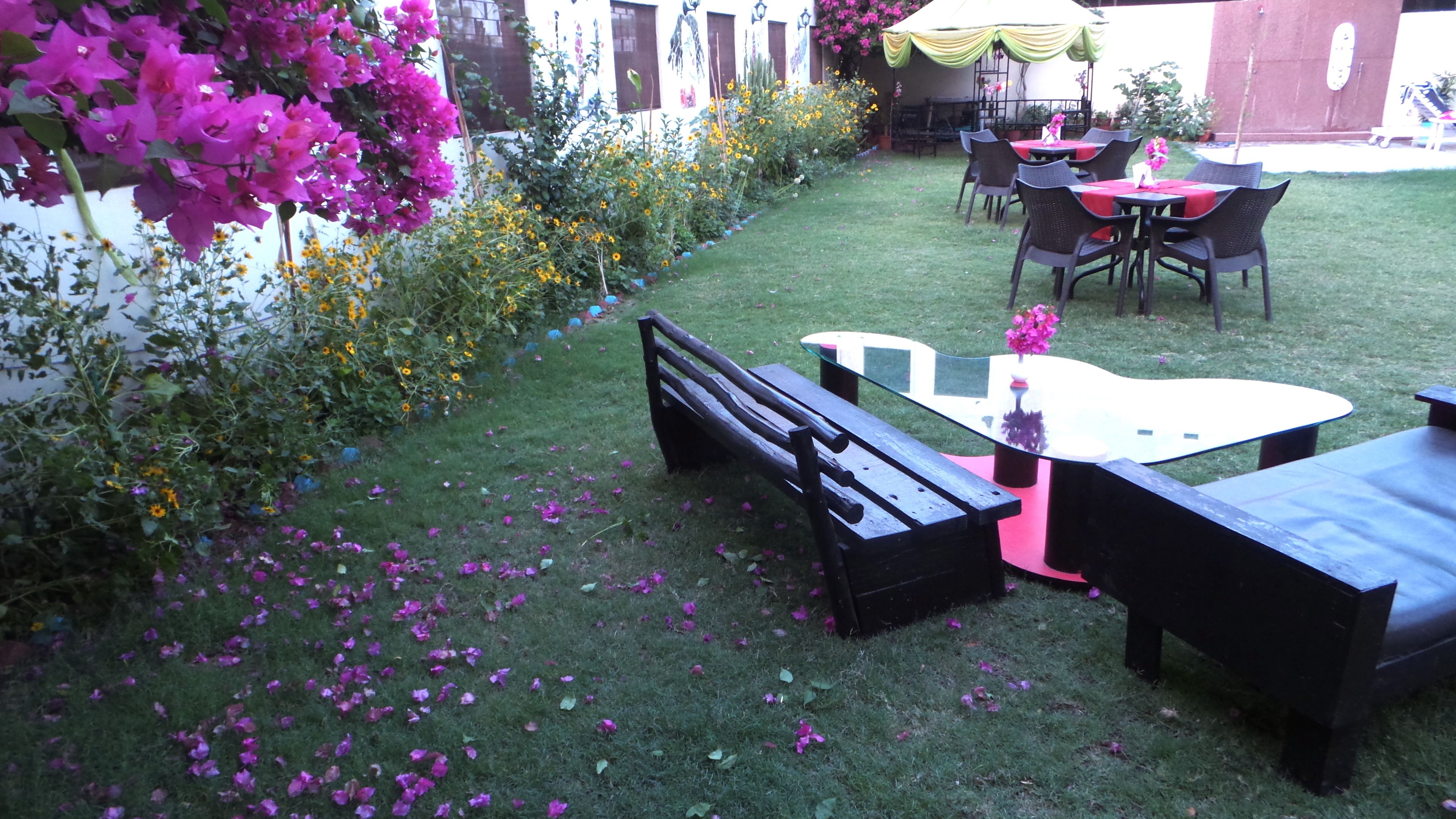 Un espacio al aire libre con mesas y bancos, rodeado por un jardín con flores y una pared blanca.
