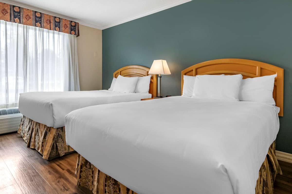 Escritorio, wifi gratis y ropa de cama
