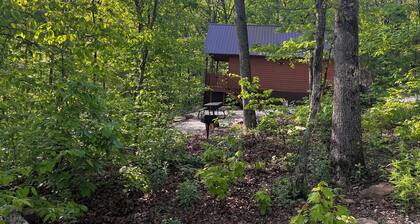 Cozy cabin in our little woodland village - access to pond and meadow