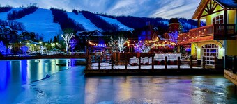 Blue Mountain Studio Oasis 