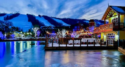Blue Mountain Studio Oasis