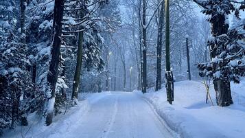 A snow-covered road flanked by trees.