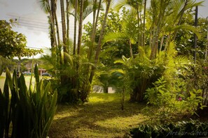 Property grounds - CASA GOSTOSA-in Riviera- Great prices!!! (SP)