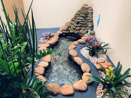 Jardín. Hotel Casa Grande