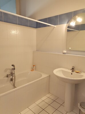 Combined shower/tub, hair dryer, bidet, soap