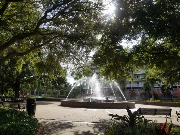 Property grounds
