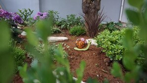 A garden with a snail on the ground, surrounded by various plants and a tree. - Garden House (Kalamata)