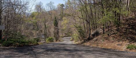 A gravel road leading through a forested area with a sign warning about point owners' liability.