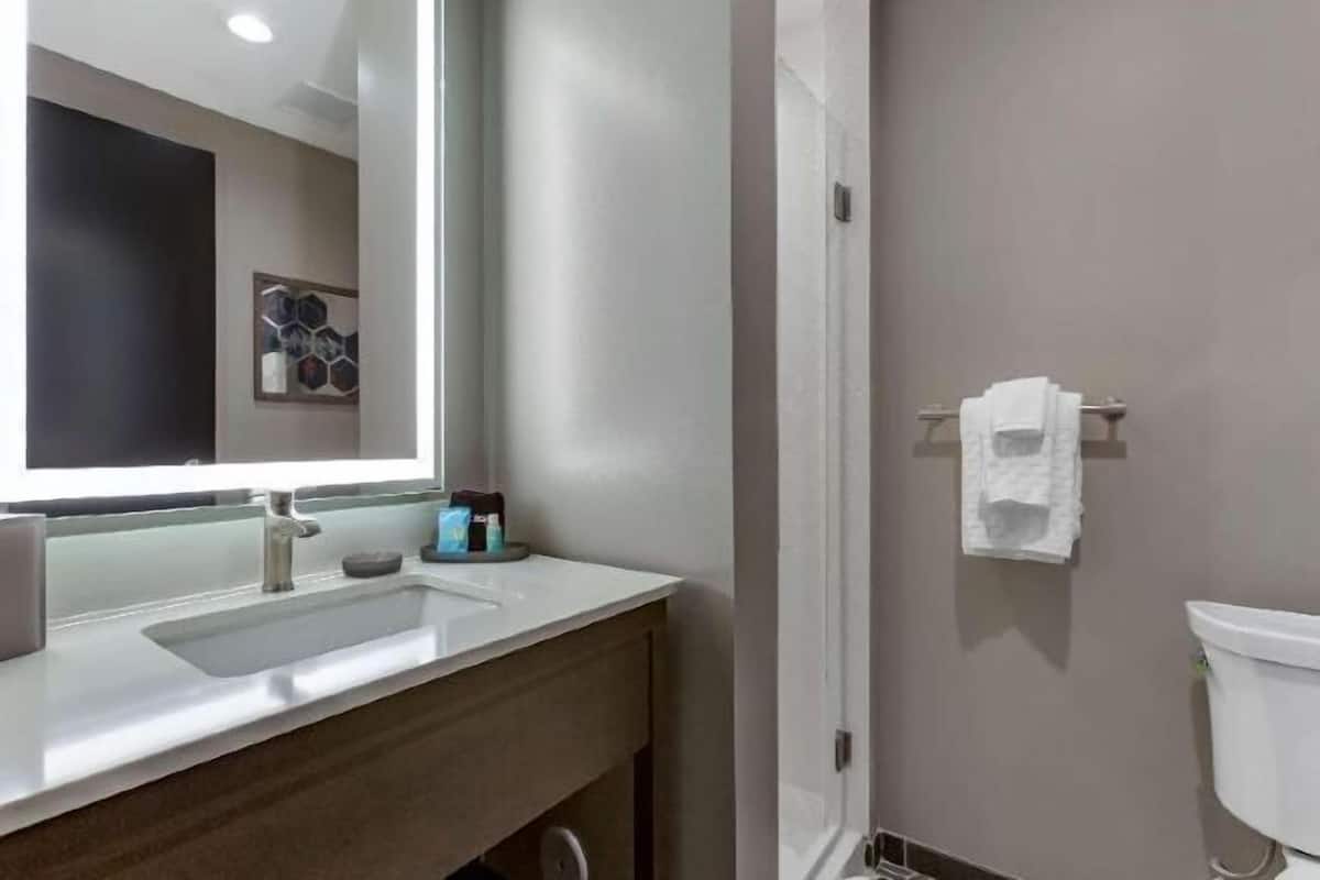 Regadera, regadera tipo lluvia, amenidades de baño gratuitas, toallas