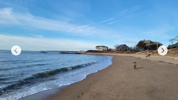 Ein Strand mit sandigem Ufer und einigen Häusern im Hintergrund.