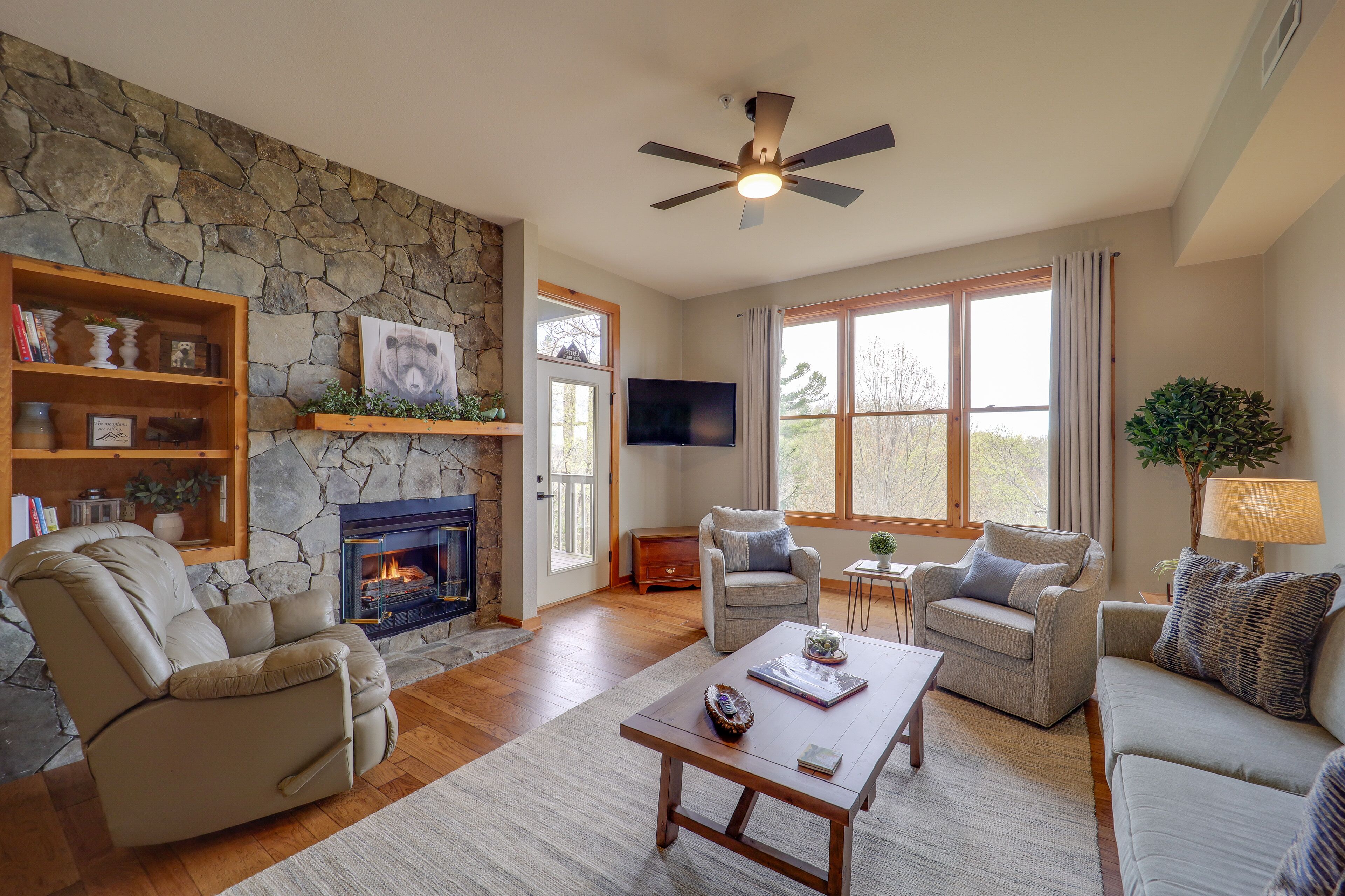 TV, fireplace, books