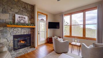 TV, fireplace, books