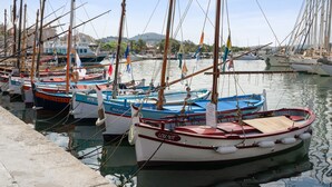 A marina with several small boats docked.