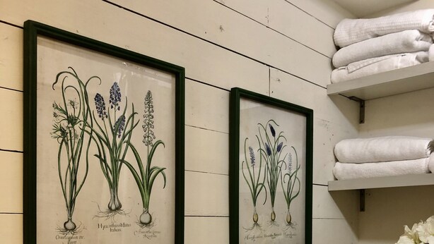 Framed botanical illustrations on a wall, a toilet paper holder, and a shelf with folded towels. - Convenient quiet LSU Location near City Park, coffee shops, restaurants and bars (Baton Rouge)