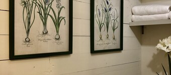 Convenient quiet LSU Location near City Park, coffee shops, restaurants and bars