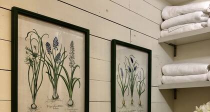 Convenient quiet LSU Location near City Park, coffee shops, restaurants and bars