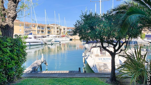 Un port de plaisance avec des bateaux amarrés, un arbre au premier plan et des bâtiments en arrière-plan.