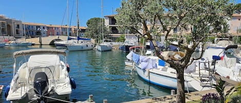 Un puerto deportivo con barcos amarrados, un árbol en primer plano y edificios al fondo.
