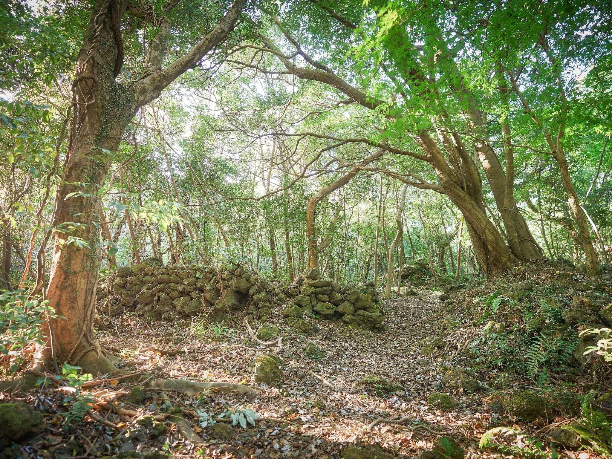 Photo - Mercure Ambassador Jeju