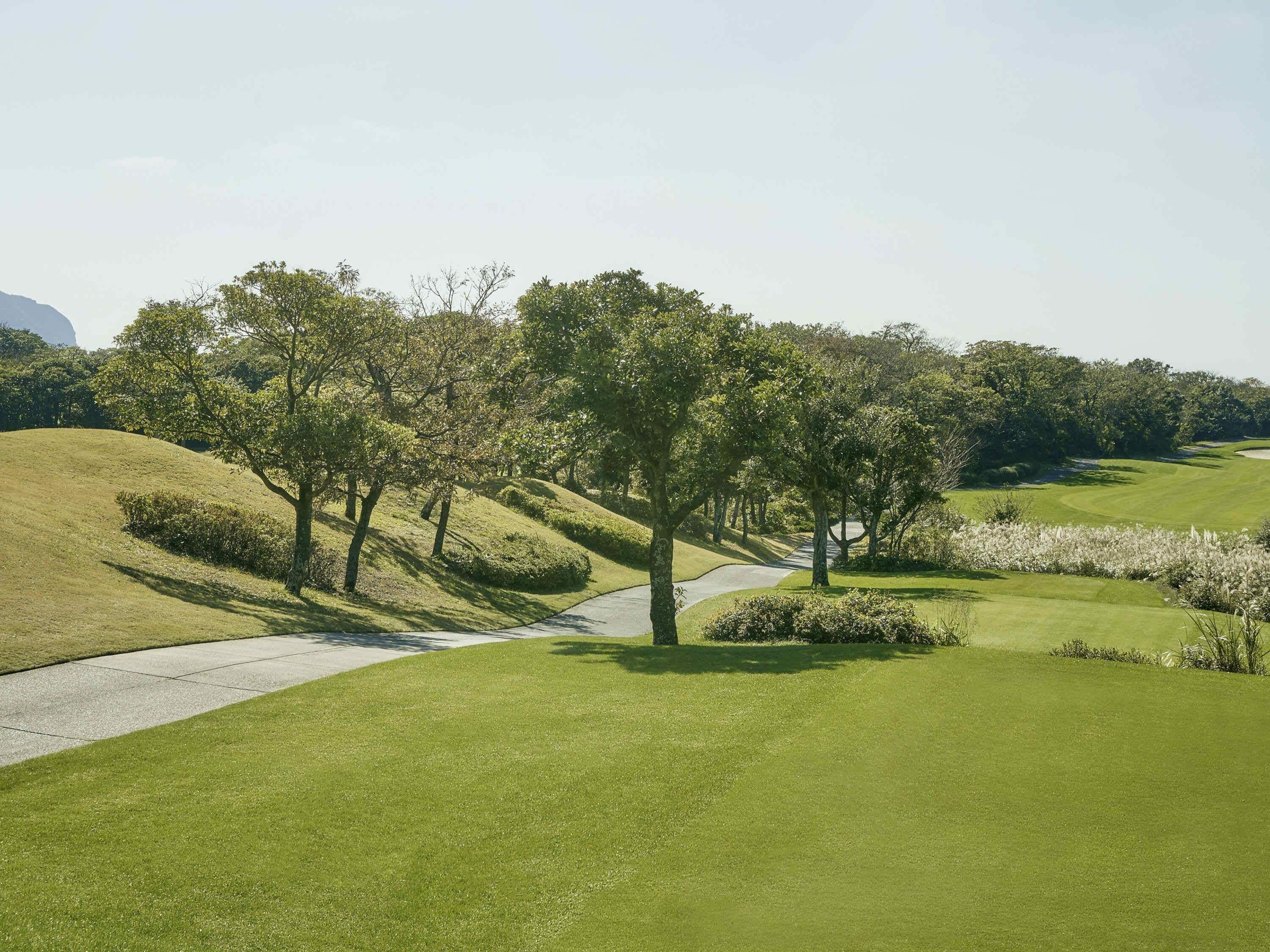 A golf course with a pathway, trees, and well-maintained grass.