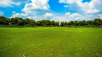 A wide-open grassy field with a clear sky and trees in the distance.