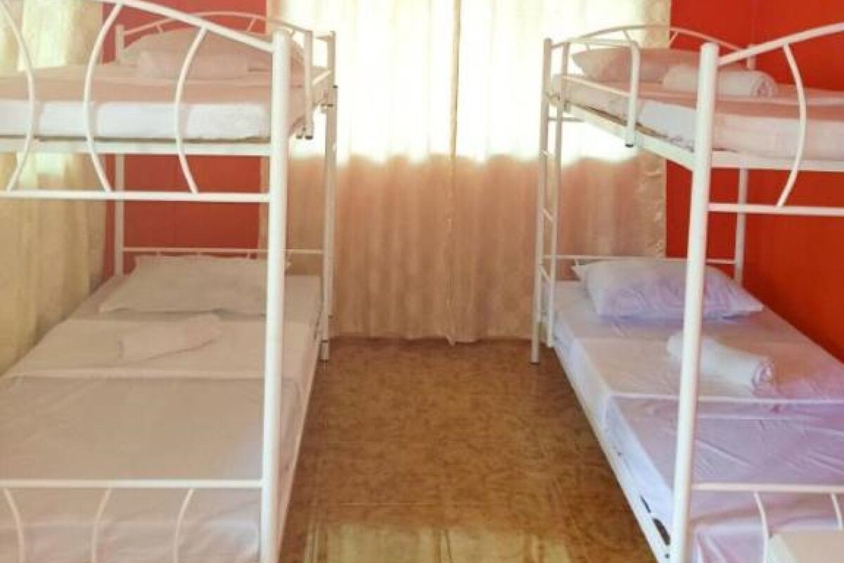 Una habitación con literas, ventilador de techo y ventana con cortinas.