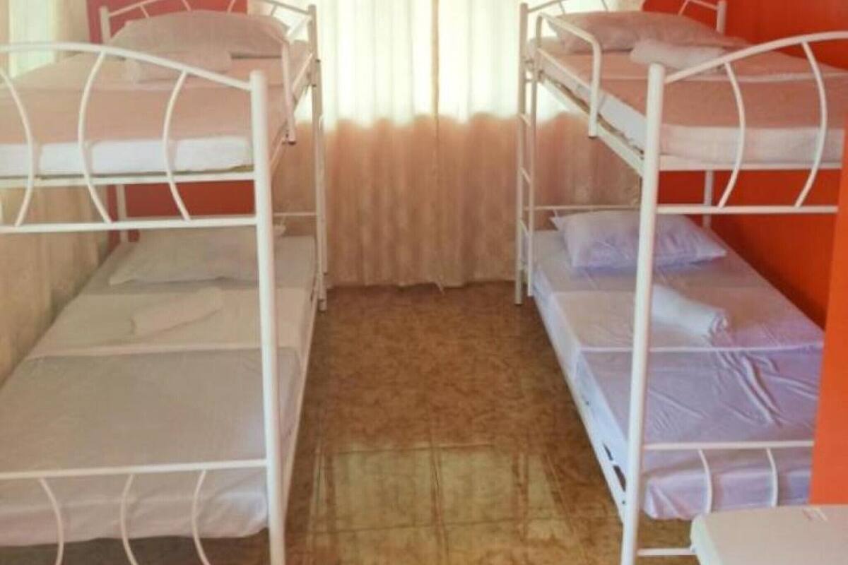 Una habitación con cuatro literas ubicadas en una esquina, una ventana con cortinas y suelo cubierto de alfombra.