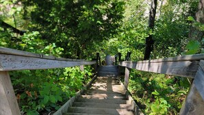 Un escalier en bois menant vers le haut d’une colline, entouré d’une végétation luxuriante et d’arbres.