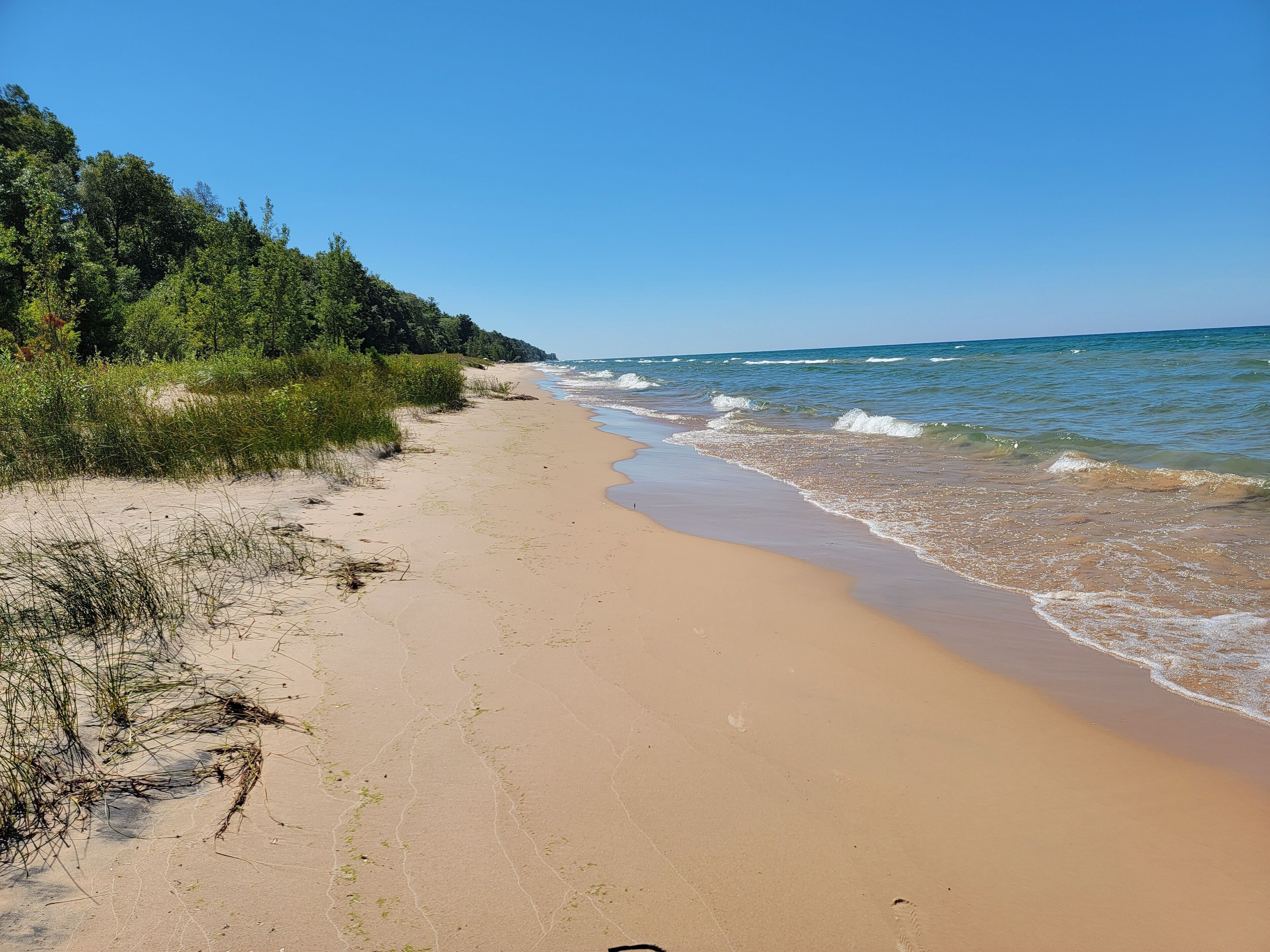 Plage à proximité, chaises longues, serviettes de plage