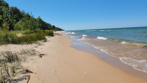 Une plage avec un rivage sablonneux, des vagues et une zone boisée en arrière-plan.