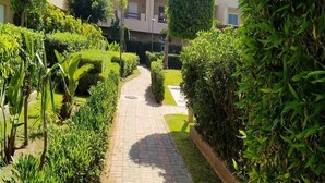 A paved pathway flanked by neatly trimmed hedges and small trees, leading towards a building with a flat roof and multiple windows.