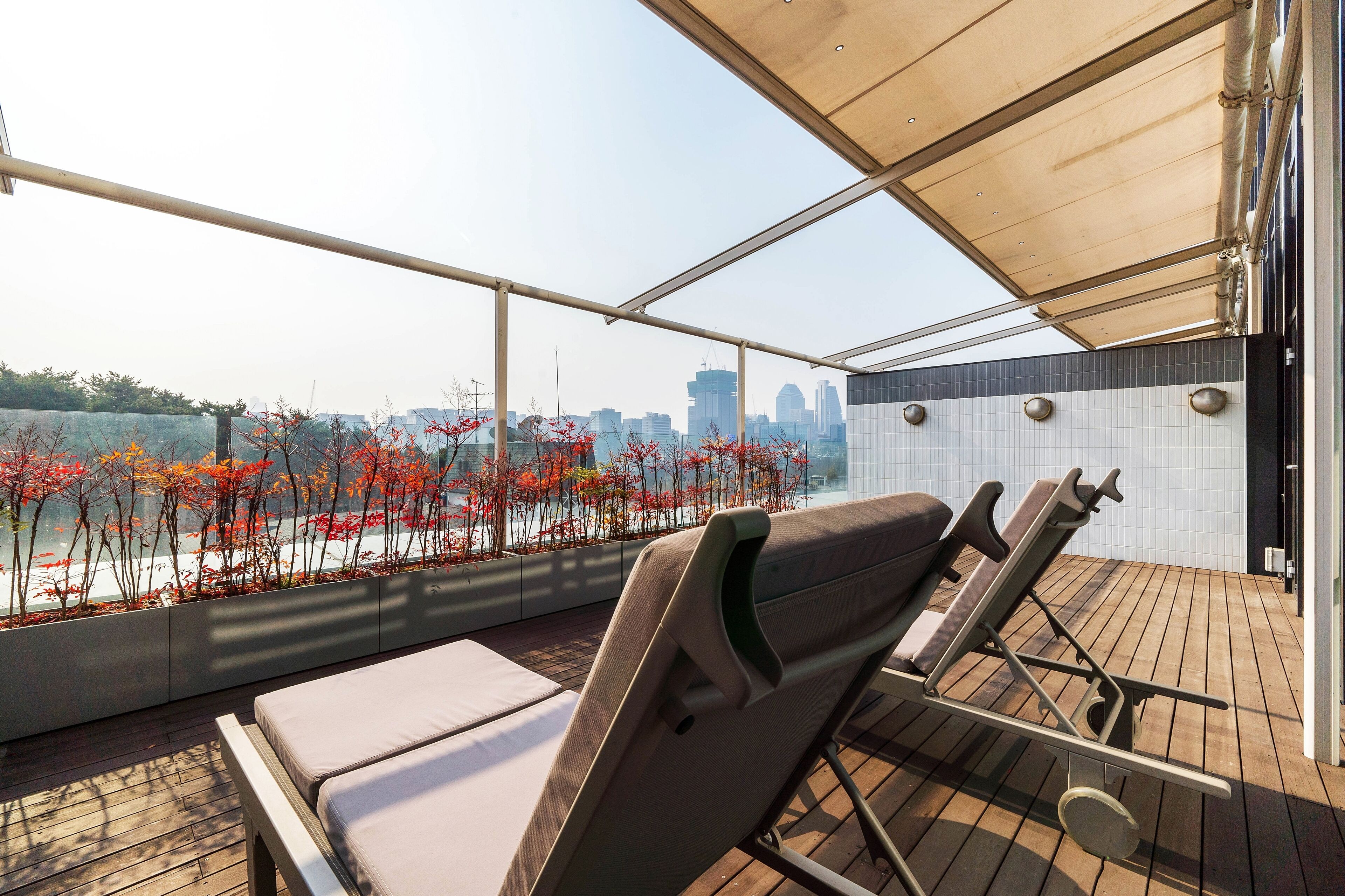 Signature Room, 1 King Bed, Terrace, Park View | View from room