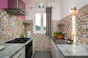 Fridge, oven, stovetop, dishwasher