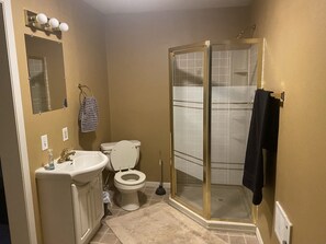 Combined shower/tub, hair dryer, towels