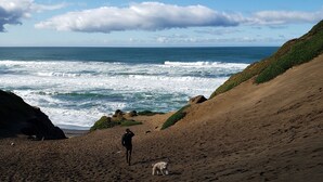 A beach with a person and a dog walking on the sand, overlooking the ocean.