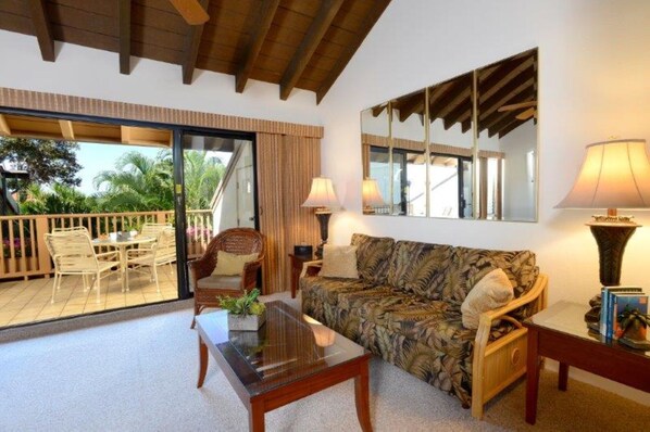 Televisión y reproductor de DVD 