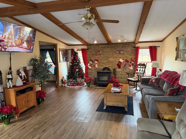 Smart TV, fireplace, video games, DVD player