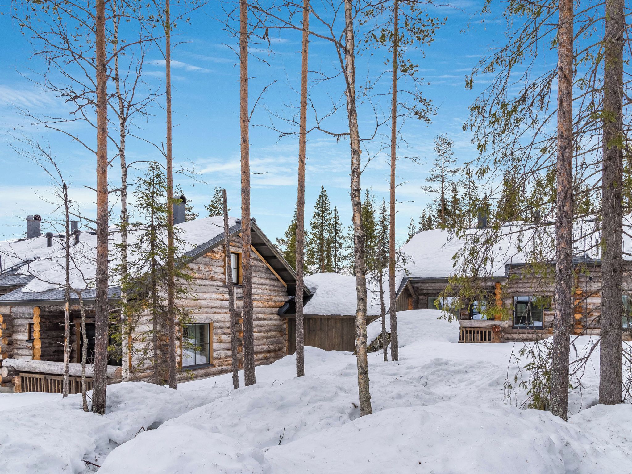 A log cabin surrounded by tall trees and covered in snow.
