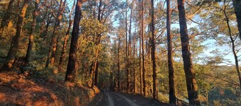 "KiNam Vinea" - A Farm Stay in the Yarra Valley