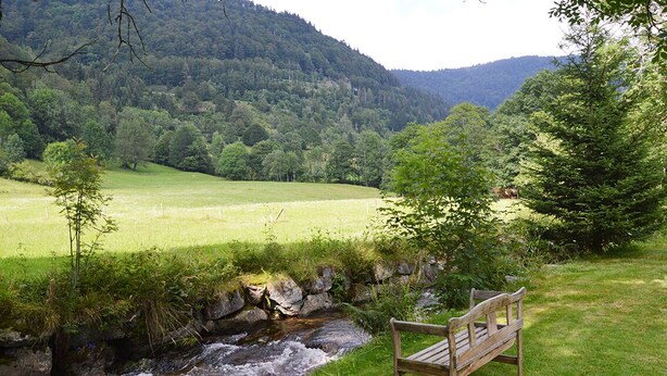A bench by a stream in a green valley with hills in the background. - Fewo 7 - Hauptmann (Todtnau)
