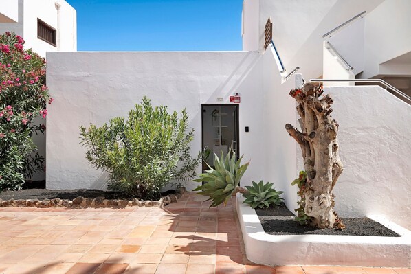 A courtyard with a white wall, a door, and a staircase.