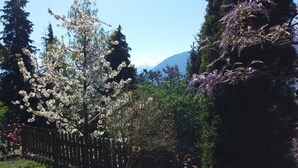Un jardín con árboles en flor, una valla de madera y una montaña al fondo.